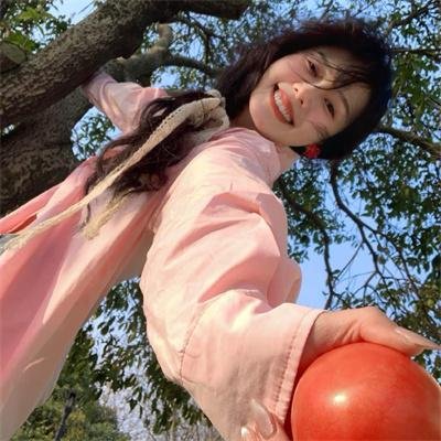 双子星大冒险国语